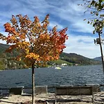 17er Mit Sauna Und Garage Apartment Mondsee