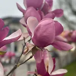 17er Mit Sauna Und Garage * موندزي