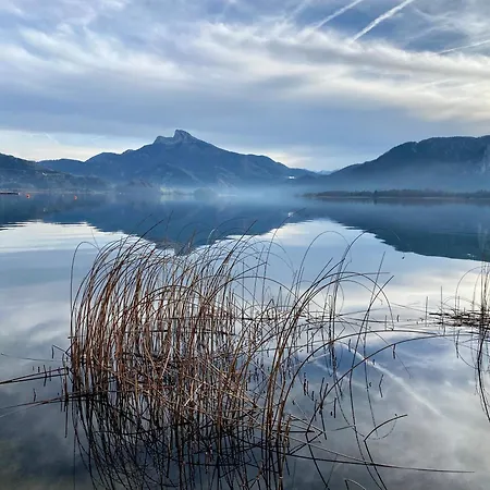 17er Mit Sauna Und Privater Garage Mondsee