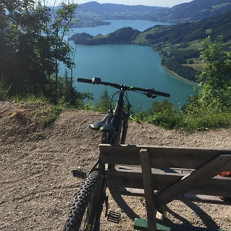 Apartmán 17er Mit Sauna Und Privater Garage Mondsee