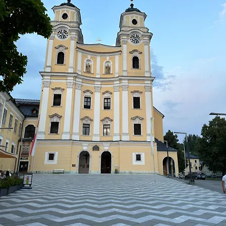 17er Mit Sauna Und Privater Garage Mondsee