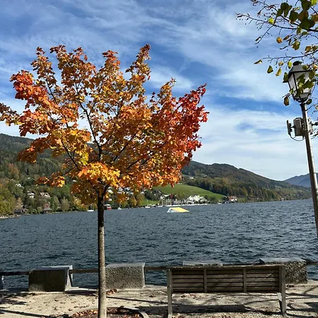 17er Mit Sauna Und Garage Lägenhet Mondsee