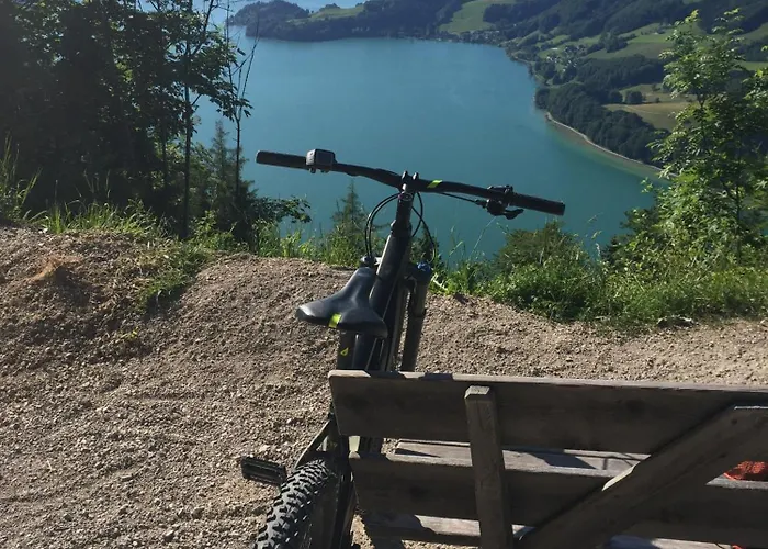 Appartement 17er Mit Sauna Und Garage Mondsee