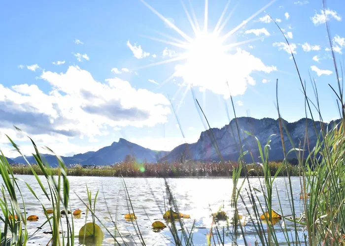 Apartman 17er Mit Sauna Und Garage *