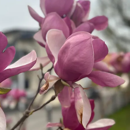 17er Mit Sauna Und Privater Garage * モントゼー