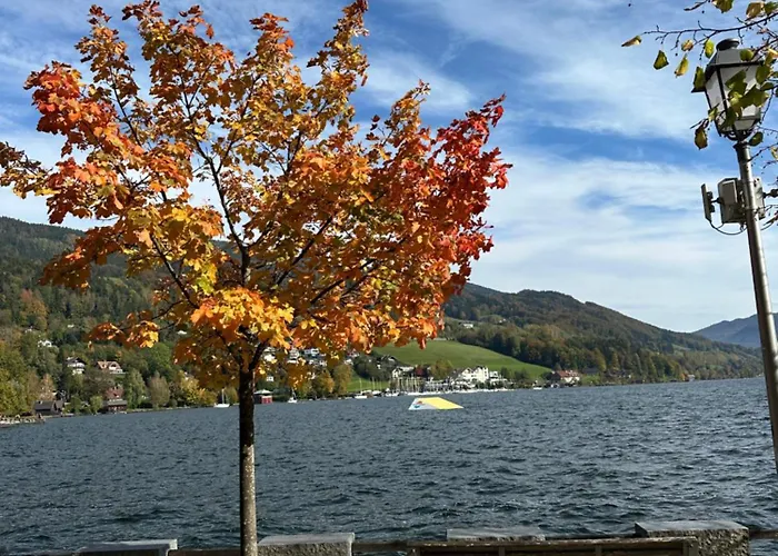 17er Mit Sauna Und Garage Διαμέρισμα Mondsee